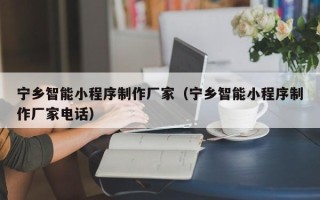 四平宁乡智能小程序制作厂家（宁乡智能小程序制作厂家电话）